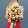 5 кустовых светло-персиковаых роз Джентл Трендсеттер 50 см